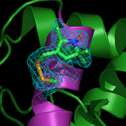 SDSL/EPR example