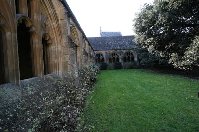 IMG 0208