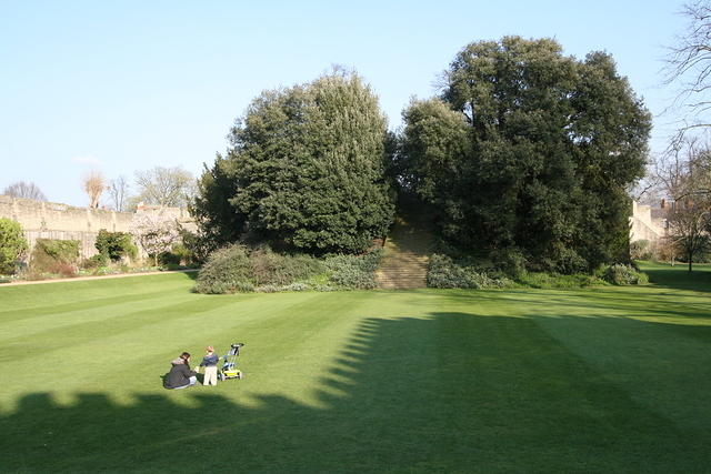 IMG 0212