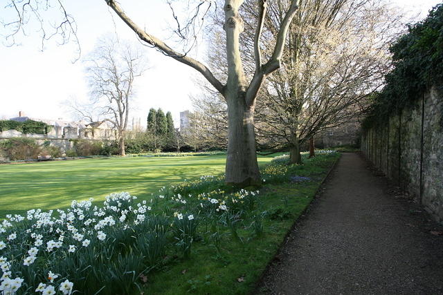 IMG 0217