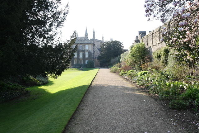 IMG 0222