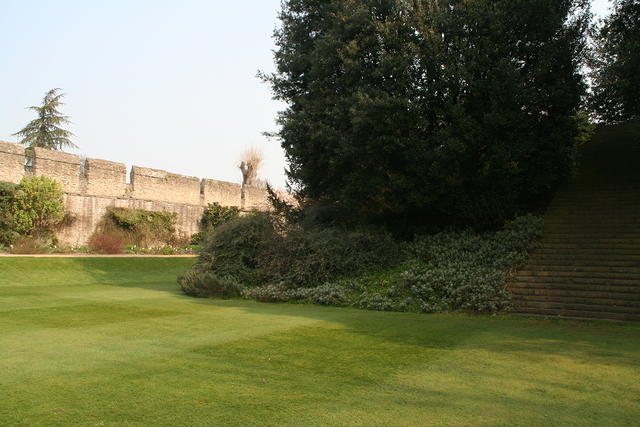 IMG 20070328 0864