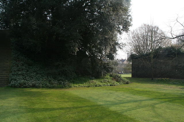 IMG 20070328 0866