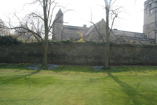 IMG 20070328 0868