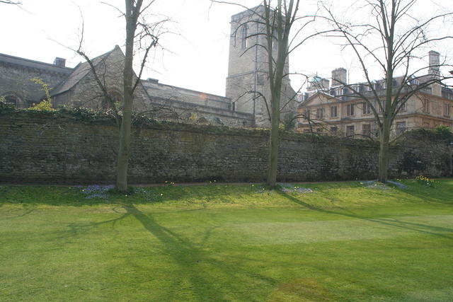 IMG 20070328 0869