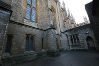 IMG 0195